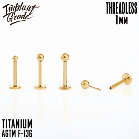 SKU: 1-6-3 Threadless Gold labret 1 (18 G) 3mm