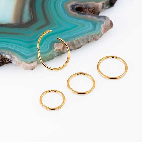 SKU: 013-8 Gold Hinged Segment Ring 0.8 (20 G)