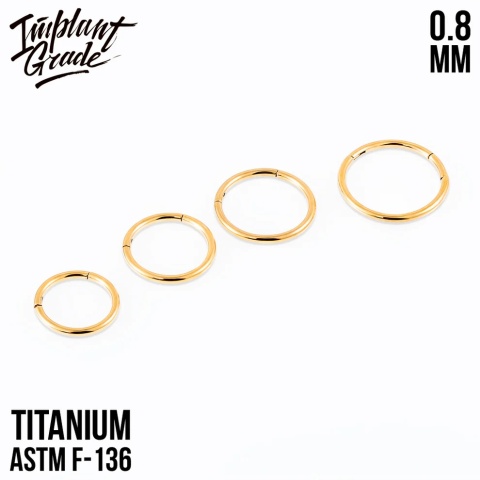 SKU: 013-8 Gold Hinged Segment Ring 0.8 (20 G)