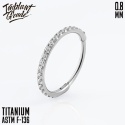 SKU: 1839-10-g Insight Hinged Segment Ring 0.8 (20 G)/10mm