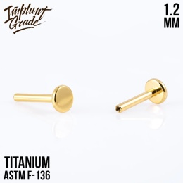 SKU: 946-6 Podstawa do labretu (16G) 1,2/6mm GW Gold labret post